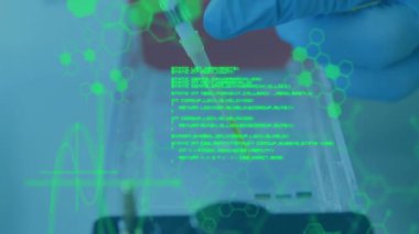 Bilimsel veriler ve moleküler yapılar pipeti kullanarak eldivenli elin üzerinde animasyon yapıyor. Bilim, laboratuvar, araştırma, deney, biyoteknoloji, kimya konsepti