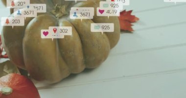 Sosyal medya etkileşimi, sonbahar balkabakları ve beyaz yüzeydeki yapraklar üzerindeki canlandırmaları simgeler. Mevsimlik, dekorasyon, şükran günü, hasat, şenlik, sonbahar