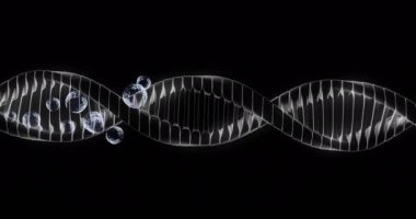 Yüzen baloncuklu DNA ipliği, bilimsel veri işleme animasyonu. Genetik, biyoteknoloji, moleküler, araştırma, laboratuvar, biyoenformatik