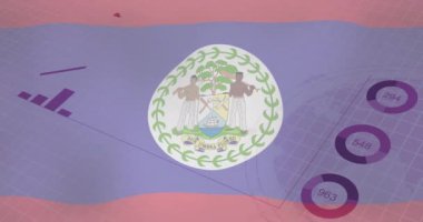 Belize bayrağı ve ikili kod arkaplanı üzerinden veri animasyonu toplanıyor. Teknoloji, dijital, kodlama, analiz, bilgi, programlama