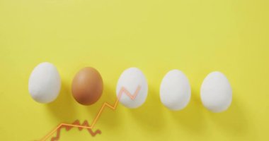 Sarı arka planda beyaz ve kahverengi yumurtalar üzerinde çizgi grafik animasyonu. Bilgi, veri görselleştirme, istatistik, büyüme, analiz, karşılaştırma