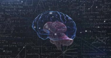 Beyin anatomisi ve matematik denklemleri karanlık arka plan üzerinde animasyon. Nörobilim, matematik, bilim, teknoloji, eğitim, veri