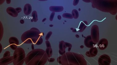Kırmızı kan hücrelerinin arka planında grafik çizgileri ve sayısal veri animasyonu. Bilim, analiz, biyoloji, tıbbi, teknoloji, sağlık