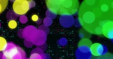 Mor ve mavi renkli renkli Bokeh ışıkları animasyonu. Soyut, arkaplan, ışıltılı, canlı, odaklanmış, ışıl ışıl