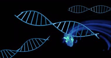 DNA iplikleri ve dönen mavi ışık animasyonu. Genetik, biyoteknoloji, bilim, moleküler, sarmal, araştırma