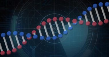 Bilimsel veri görselleştirmesi üzerine DNA ipliği ve moleküler yapı animasyonu. Biyoteknoloji, genetik, molekül, araştırma, laboratuvar, dizi