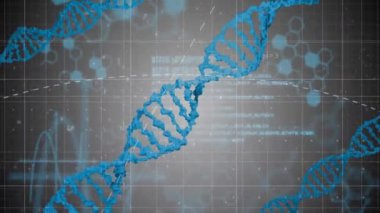 DNA ipliği ve bilimsel formüller, veri işleme animasyonu. Bilim, biyoloji, genetik, moleküller, veri analizi, laboratuvar araştırması