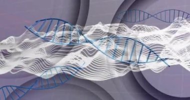 DNA iplikleri ve dalga formları, bilimsel veri işleme animasyonu. Bilim, genetik, biyoloji, araştırma, moleküller, teknoloji konsepti