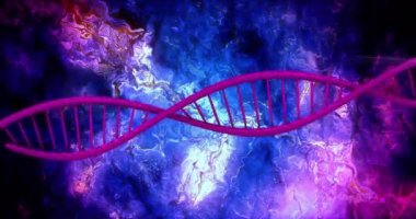 Soyut mavi ve mor kıvrımlı arka planda DNA ipliği animasyonu. Biyoteknoloji, genetik, moleküler, bilim, biyoloji, sarmal
