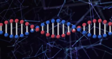 Bağlantı ağı üzerinden DNA ipliği ve moleküler yapı animasyonu. Genetik, biyoteknoloji, sarmal, biyoloji, araştırma, teknoloji