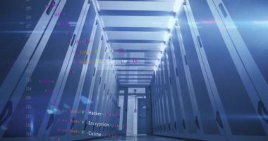 Koridordaki veri merkezi sunucuları üzerinde bilgisayar kodu animasyonu. Teknoloji, kodlama, programlama, dijital, bilişim, siber güvenlik kavramı