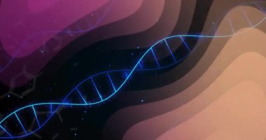 Soyut renkli dalgalar ve moleküler yapılar üzerinde DNA ipliği animasyonu. Genetik, biyoteknoloji, genom, teknoloji, bilim, araştırma konsepti