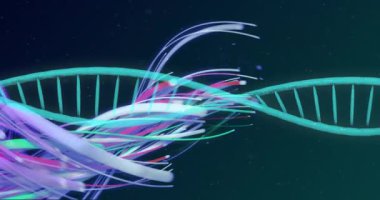 Karanlık zemin üzerinde soyut şekiller oluşturan renkli ışık izleri, akan çizgilerin animasyonu. Neon, hareket, parıltı, fütüristik, canlı, dinamik