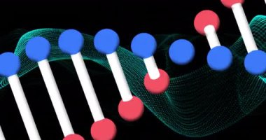 Dijital dalga arkaplanı üzerinde DNA ipliği animasyonu. Genom, biyoteknoloji, biyoenformatik, moleküler, genetik, araştırma konsepti