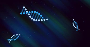 DNA iplikleri ve ikili kodlama, bilimsel veri işleme animasyonu. Bilim, genetik, teknoloji, araştırma, moleküler, biyoenformatik konsept