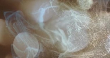 Soyut parçacıklar ve ışık bulanık arkaplan üzerinde animasyon çizer. hareket, hareket, dinamik, fütüristik, neon, dijital