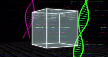 Koyu arkaplanda parlayan küp üzerinde DNA iplikleri ve kodlama veri animasyonu. Biyoteknoloji, genetik, genom, biyoenformatik, dijital, bilim