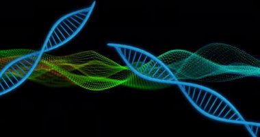 DNA iplikleri ve veri dalgaları, siyah arkaplan üzerinde bilimsel animasyon. Bilim, teknoloji, genetik, biyoloji, dijital, fütüristik kavram