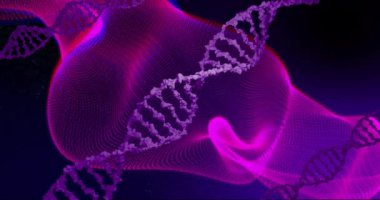 DNA ipliği ve dijital dalgalar, bilimsel veri işleme animasyonu. Bilim, genetik, biyoteknoloji, teknoloji, sağlık, fütüristik