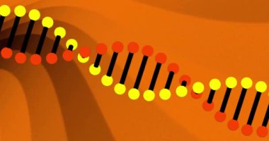 Soyut şekilli, turuncu arkaplandaki DNA iplikçikleri. Biyoteknoloji, genetik, moleküler, sarmal, kromozom, bilim