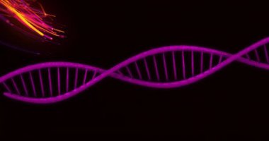 Canlı renklerde DNA ipliği ve parlak efektler, bilimsel animasyon. Genetik, biyoteknoloji, moleküler, araştırma, bilim, kromozom kavramı