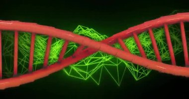 Yeşil geometrik ağ üzerinde DNA ipliği animasyonu. Bilim, biyoteknoloji, genetik, molekül, sarmal, araştırma konsepti