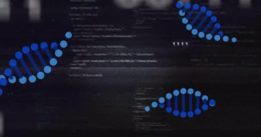 DNA iplikleri ve ikili kod, bilimsel veri işleme animasyonu. Bilim, teknoloji, genomik, biyoenformatik, sıralama, araştırma konsepti