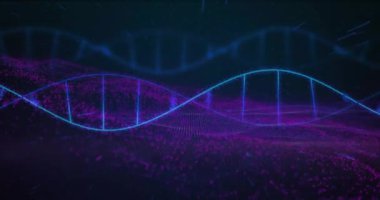 Mor ve mavi dijital arkaplan üzerinde DNA ipliği animasyonu. Genetik, biyoteknoloji, DNA sarmalları, moleküler biyoloji, bilim, teknoloji