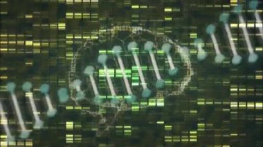 Yeşil ve sarı veri kalıpları üzerinde DNA ipliği ve genetik kod analizi. Biyoteknoloji, genetik, sarmal, genom, dizi, biyoenformatik