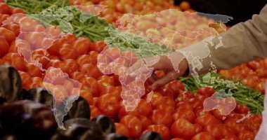 Markette taze sebzeler üzerinde dünya haritası animasyonu. Küresel, gıda, sağlıklı, üretim, ticaret, uluslararası