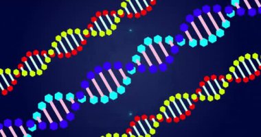Kapsam taramasında DNA iplikçiklerinin animasyonu. Sosyal medya ve dijital arayüz kavramı, dijital olarak oluşturulmuş video.