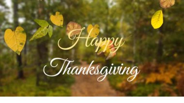 Ormanda sonbahar yaprakları üzerinde mutlu şükran günü metinlerinin animasyonu. Şükran Günü, Amerikan vatanseverliği, şenlik, kutlama ve gelenek konsepti, dijital olarak üretilen video.