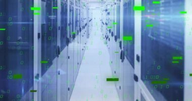 Bilgisayar sunucuları üzerinde ikili kodlama dijital veri işleme animasyonu. Küresel bağlantılar, hesaplama ve veri işleme kavramı, dijital olarak oluşturulmuş video.