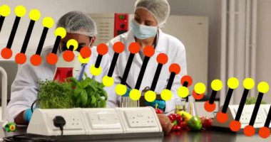 Laboratuvar önlüklü bilim adamları sebzeler üzerinde DNA iplikçikli örnekleri analiz ediyorlar. Bilim, araştırma, biyoteknoloji, genetik, laboratuvar, analiz