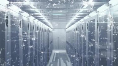 Sunucu odasında ağ bağlantıları ve veri işlemesi canlandırılıyor. Teknoloji, siber güvenlik, dijital, animasyon, görselleştirme