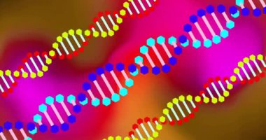 Renkli arka planda DNA iplikçiklerinin canlandırılması. Sosyal medya ve dijital arayüz kavramı, dijital olarak oluşturulmuş video.