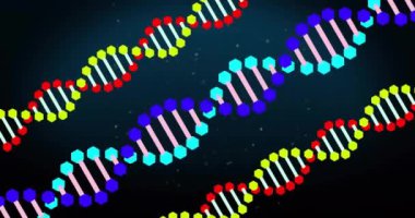 Siyah arka planda DNA iplikçiklerinin canlandırılması. Bilim ve dijital arayüz kavramı, dijital olarak üretilen video.