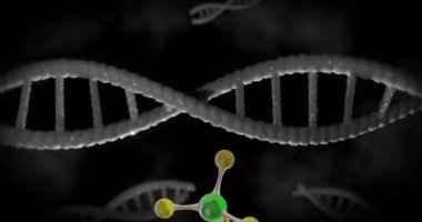 DNA iplikçiklerinin üzerinde dönen moleküllerin animasyonu. Küresel bilim, bağlantılar, hesaplama ve veri işleme kavramı, dijital olarak oluşturulmuş video.