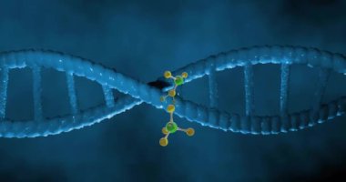 DNA iplikçiklerinin üzerinde dönen moleküllerin animasyonu. Küresel bilim, bağlantılar, hesaplama ve veri işleme kavramı, dijital olarak oluşturulmuş video.