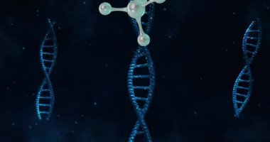 DNA iplikçiklerinin üzerinde dönen moleküllerin animasyonu. Küresel bilim, bağlantılar, hesaplama ve veri işleme kavramı, dijital olarak oluşturulmuş video.