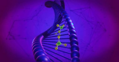 DNA iplikçiklerinin üzerinde dönen moleküllerin animasyonu. Küresel bilim, bağlantılar, hesaplama ve veri işleme kavramı, dijital olarak oluşturulmuş video.