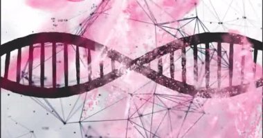 DNA ipliği ve ağ bağlantıları, bilimsel veri animasyonu. Genetik, biyoteknoloji, biyoenformatik, moleküler, araştırma, bağlantı