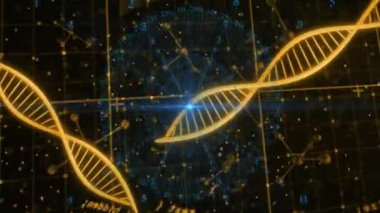 DNA ipliği ve sayısal veri işleme animasyonu bilimsel şebeke üzerinde. Bilim, teknoloji, genetik, biyoteknoloji, analiz, dijital