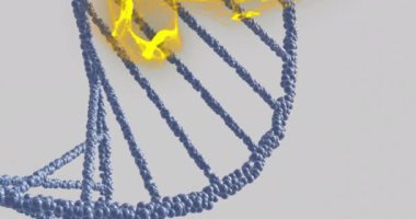 Sarı enerji akışı animasyonlu DNA iplikleri. Genetik, moleküller, biyoteknoloji, bilim, gelecekçi, biyoloji