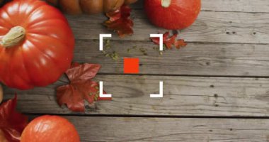 Balkabakları ve sonbahar yaprakları ahşap arka planda odaklanma animasyonuyla. Sonbahar, hasat, yeşillik, kırsal, mevsimlik, süslemeler