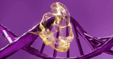 Mor zemin üzerinde ışıldayan parçacıklar olan DNA ipliği. Biyoteknoloji, genetik, moleküler, bilim, araştırma, teknoloji