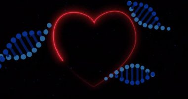 DNA iplikçikleri siyah arka planda parlayan kırmızı kalp üzerinde hareket eder. Bilim, biyoloji, genetik, tıbbi, sağlık, teknoloji konsepti