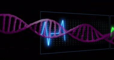 Yeşil ve kırmızı çizgileri olan kalp atışı monitörü üzerinde DNA ipliği. Genetik, biyoteknoloji, sağlık, biyoloji, tıp, bilim konsepti