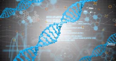 Altıgen şebeke üzerinde DNA ipliği ve bilimsel veri işleme animasyonu. Bilim, teknoloji, araştırma, genetik, biyoteknoloji, laboratuvar