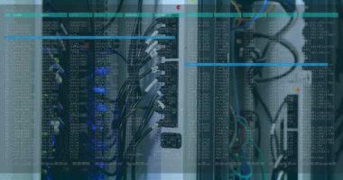 Kablolu sunucu rafları, teknoloji ortamında bulunan veri işleme animasyonları. Teknoloji, sunucular, ağ oluşturma, dijital, bilgi